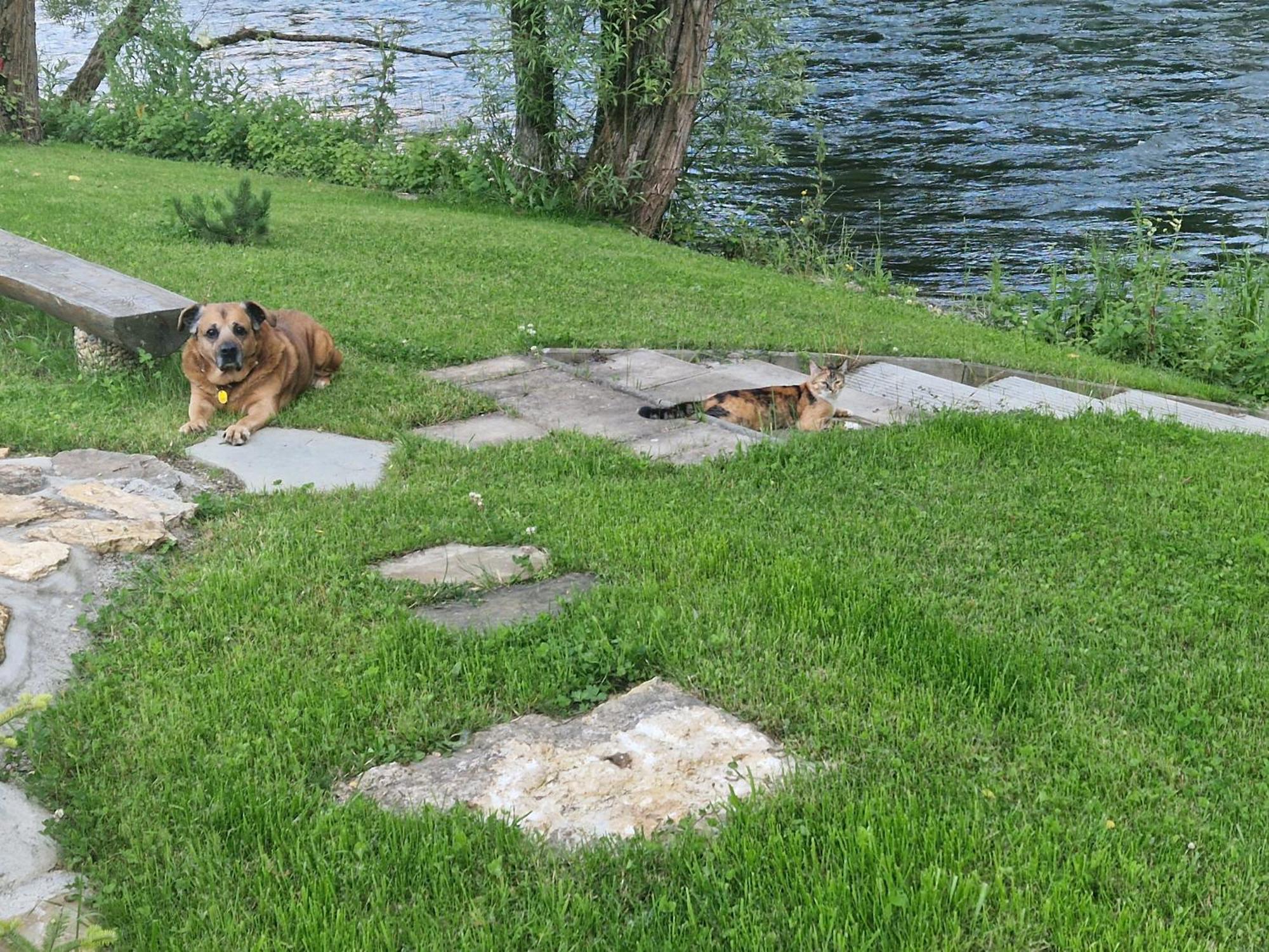 Villa Garden Bešeňová Esterno foto