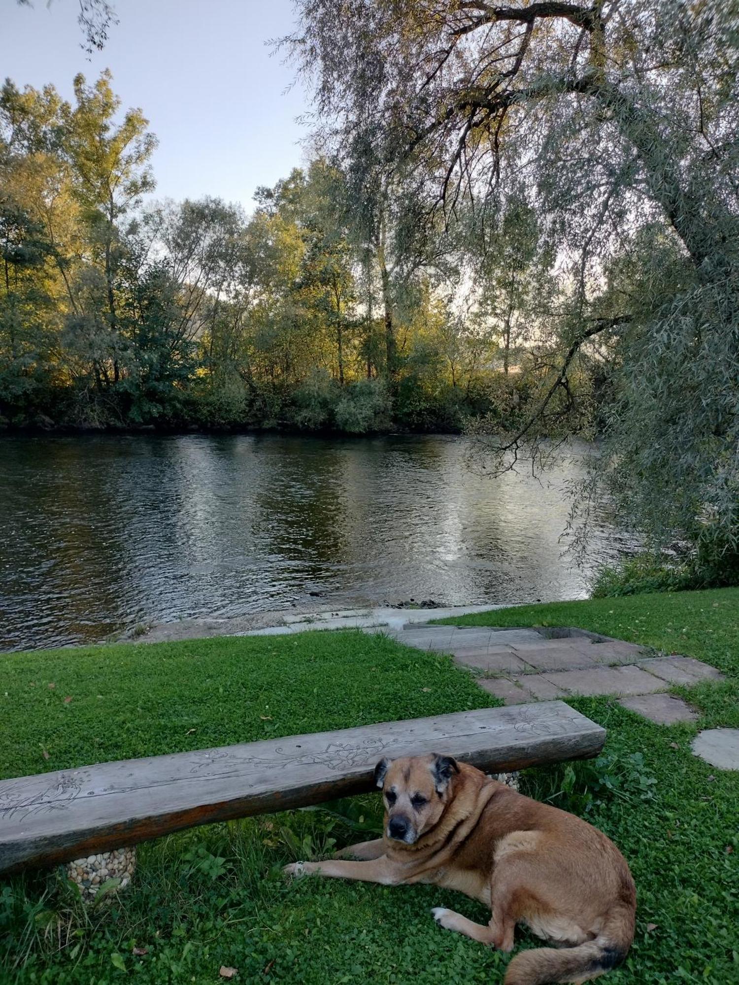 Villa Garden Bešeňová Esterno foto